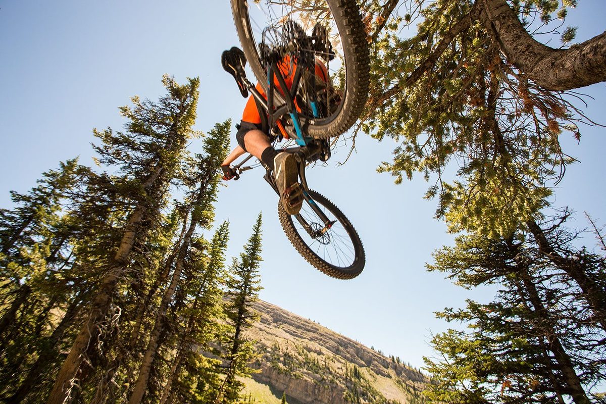 Mountain biker airborne against pines and blue sky